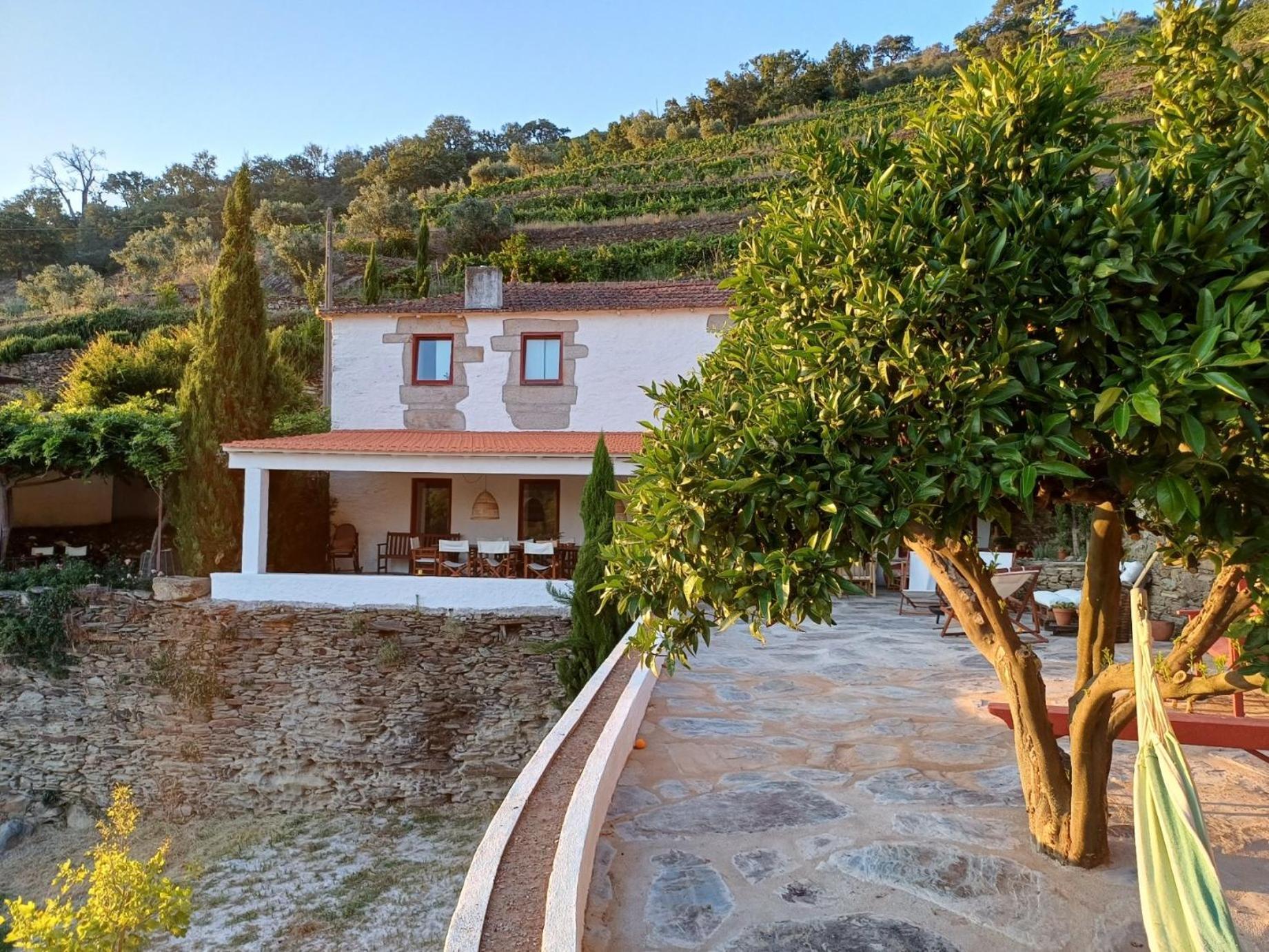 Country House Quinta Da Salgueira Alijo Exterior photo